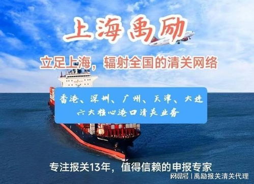 上海出口代理報關服務 專業商務代理，助您高效通關