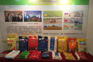 糧油盛會，智贏未來——記我司成功參展第十四屆中國國際糧油產品及設備技術展示交易會